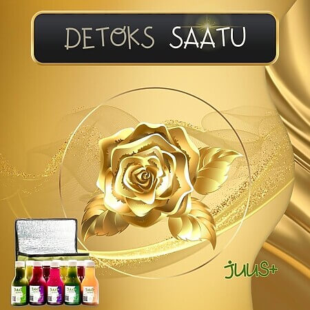 Juus.Plus DETOKS SAATU